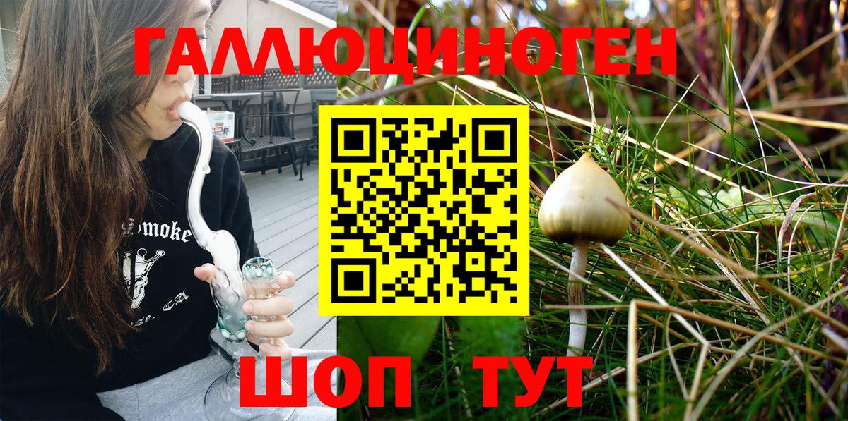 Галлюциногенные грибы MAGIC MUSHROOMS Курчатов
