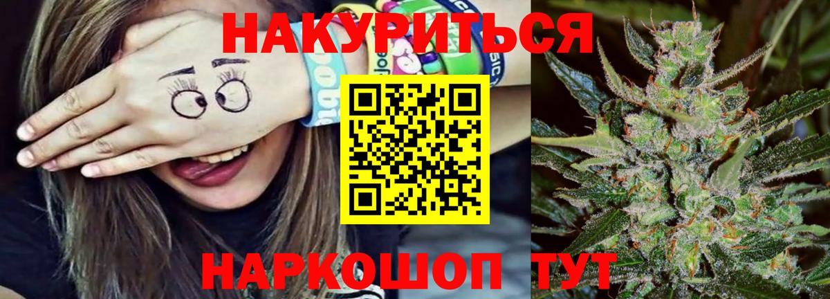МАРИХУАНА сатива Курчатов